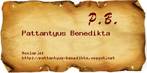 Pattantyus Benedikta névjegykártya